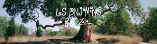 Les Benjamins - 