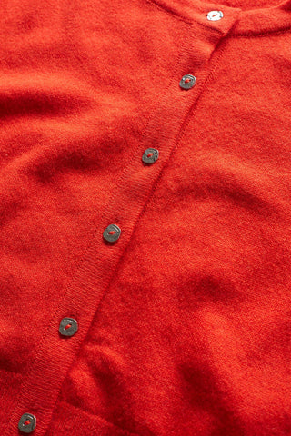 Les Benjamins - KNITWEAR 408