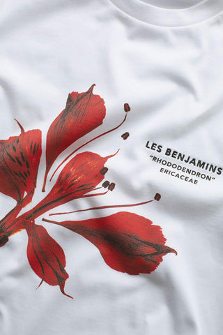 Les Benjamins - REGULAR TEE 012