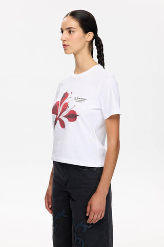 Les Benjamins - REGULAR TEE 012