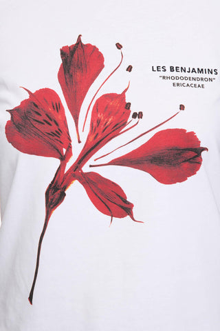 Les Benjamins - REGULAR TEE 012