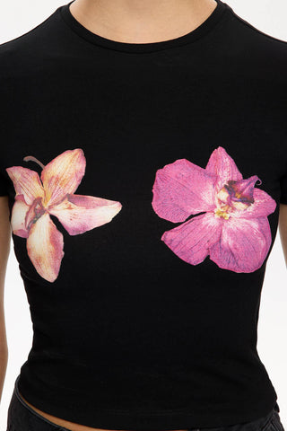 Les Benjamins - FITTED TEE 016