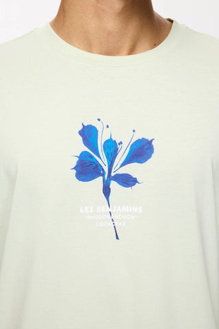 Les Benjamins - OVERSIZED TEE 001