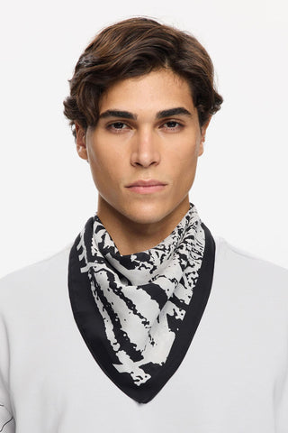 Les Benjamins - SCARF 501