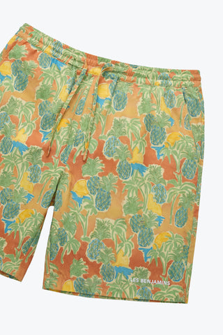 Les Benjamins - SHORT 002